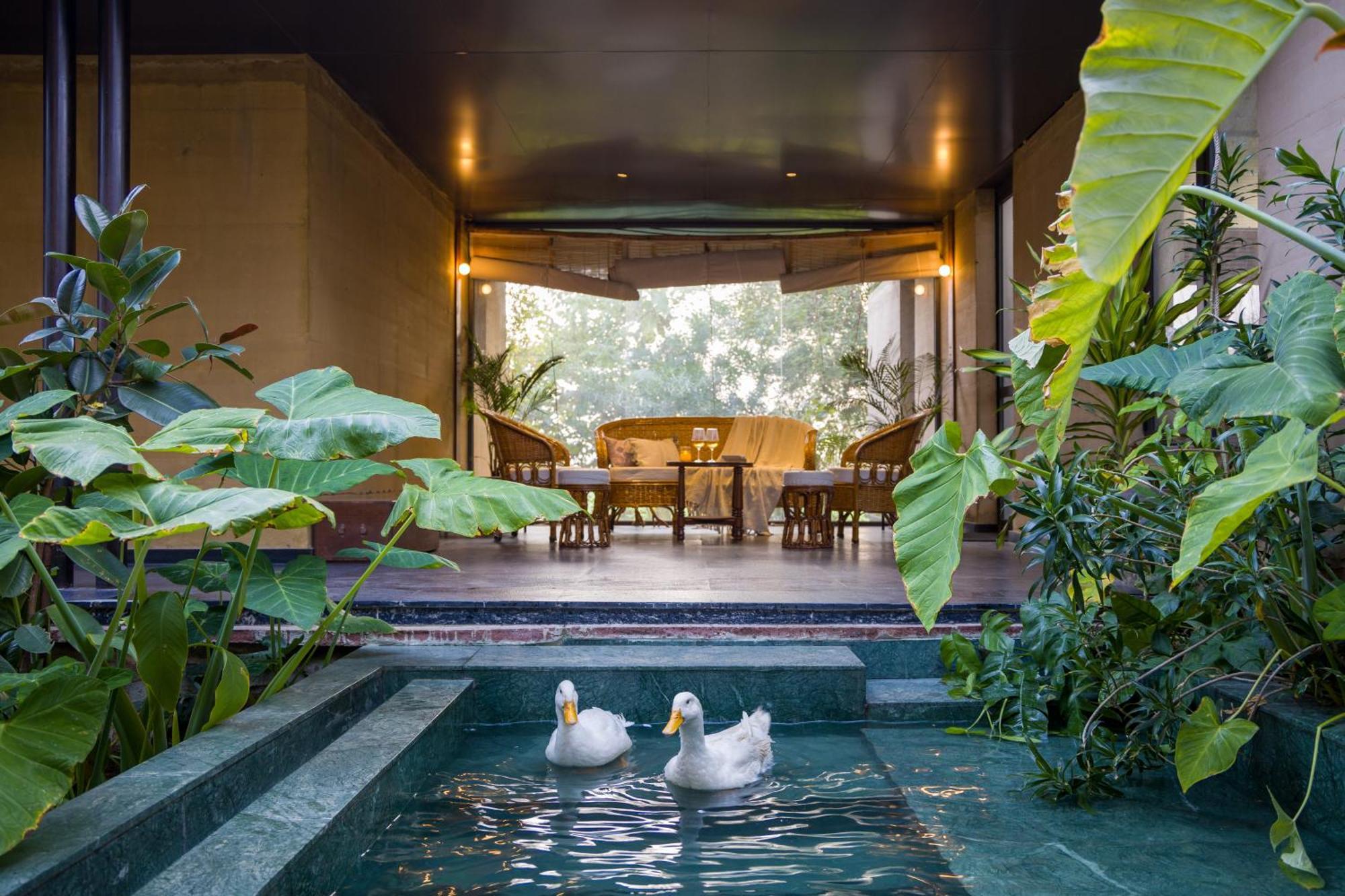 Elivaas Hari Bagh 4 Bhk Villa With Gaming Zone & Art Nook Jaipur Extérieur photo